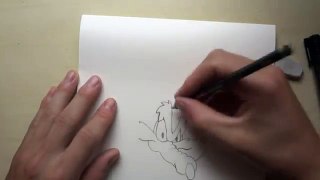 Desenhando Coyote Speed - Drawing