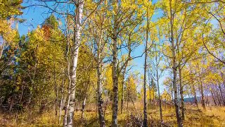 Grand Teton Mountains Scenery | 1 Hour - Relaxation Video in 4K | Last Days of Fall Foliage