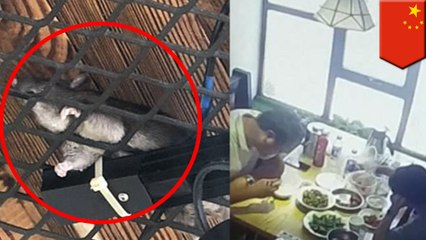 Couple's dinner ruined after liquid  drips from a dead rat