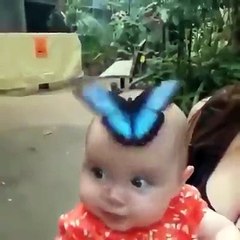 Punk's not dead volové :)