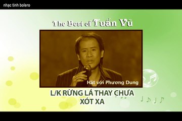 Rừng chưa thay là - Xót xa - TUẤN VŨ - nhạc tình bolero