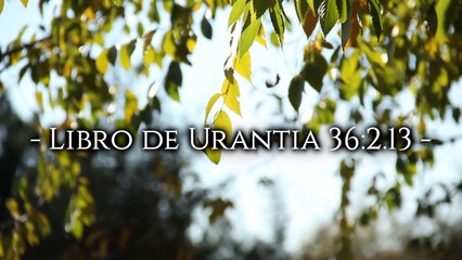 7 citas sobre el origen de la vida