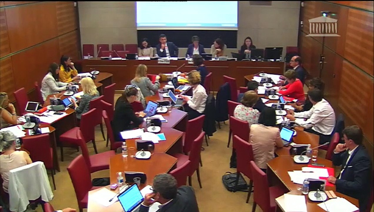 Commission des affaires culturelles : Lutte contre les fausses informations  - Mercredi 30 mai 2018