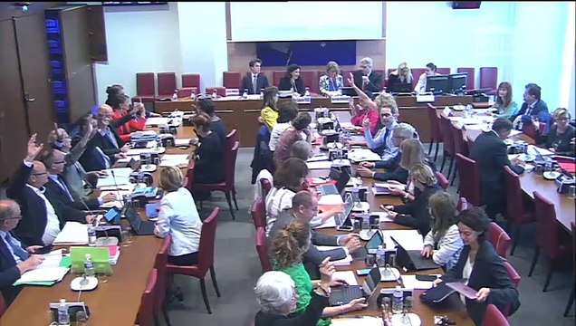 Commission des affaires sociales : Liberté de choisir son avenir professionnel (suite) - Mercredi 30 mai 2018
