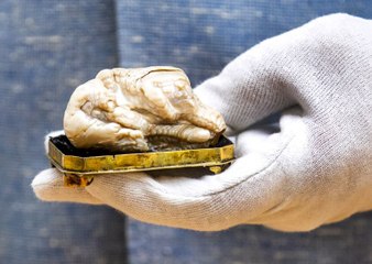 La plus grosse perle naturelle d’eau douce du monde en vente