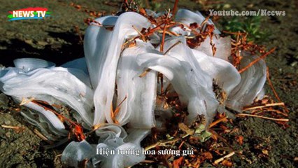 Các hiện tượng thiên nhiên "hiếm có khó tìm"