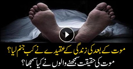 When did the concept of life after death came into existence?