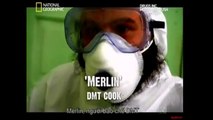 Inside_Detroi DMT (HD)