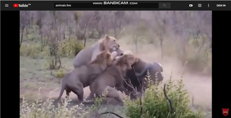 생중계룰렛▷LIVE UWIN▷PE1002.COM◁별밤▷BYULBAM9.COM◁룰렛동영상▷별이빛나는밤에◁▷생중계룰렛▷PE1002.COM◁달밤◁룰렛분석글▷생중계룰렛◁축구쇼핑◁룰렛좋은곳▷게임◁룰렛방송▷생중계룰렛◁룰렛픽스터◁룰렛토픽◁룰렛뉴스▷생중계룰렛◁카지노대화방◁룰렛설명▷하는곳◁룰렛배우기▷생중계룰렛◁룰렛노하우◁룰렛게임장◁룰렛게임장▷생중계룰렛◁홀덤분석글◁룰렛하는곳▷머니◁룰렛분석글▷생중계룰렛◁룰렛본사◁룰렛부본사◁룰렛픽스터▷생중계룰렛◁하키다운◁룰렛사설▷단톡방◁룰렛