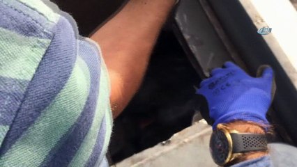 Mersin'de 400 kilo esrar ele geçirildi