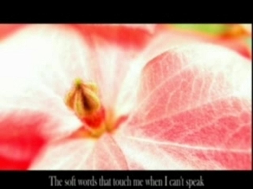 Team 5 Slide Show: Lovely