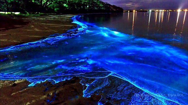 Diez extraños fenómenos naturales que ocurren en la Tierra