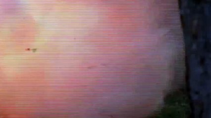 ESPÍRITOS DA FLORESTA - LOST COLONY - 2/2 - 2007