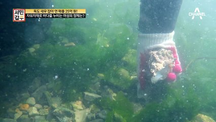 [선공개] 자유자재로 바다를 누비는 여성의 정체는?