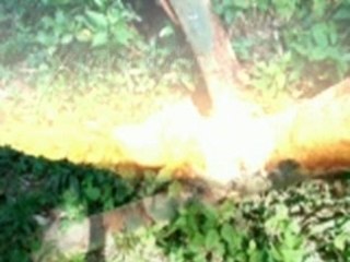 Team 3 Slide Show: You are Holy