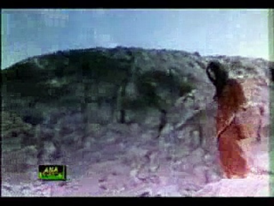 Pyar Di Kahani Loko - Hashar Nashar (1976)-- -