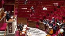 Intervention lors de la discussion générale sur le PJL portant évolution du logement, de l'aménagement et du numérique