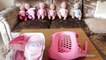 Hello Kitty Dolls Stroller Pram Bunkbed & Swimming Pool Nursery Center Baby Born Baby Annabell