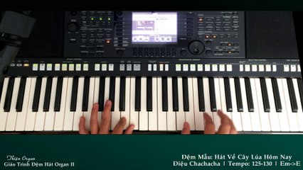 Bai giang 24 Dem mau Hat Ve Cay Lua hom nay