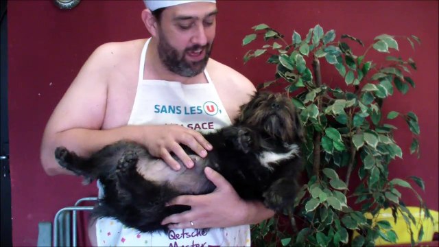 Les Noms de Famille Alsaciens numéro 3 du Professeur Djack d ' Alsace Brumath