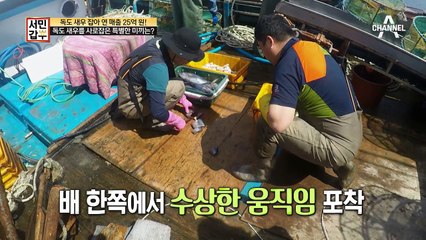 만선을 부르는 독도 새우 갑부의 특별한 미끼