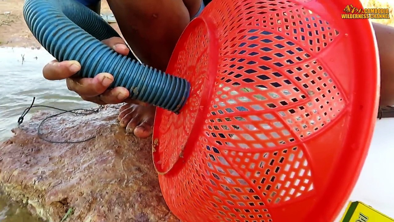 Believe This Fishing? Unique Fish Trapping System Using Long Pipe & 5 Small Plastic Bottle
