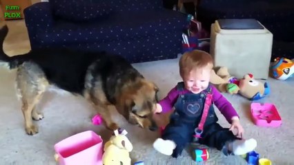 Best Babies Laughing Hysterically at Dogs Compilation (2014)