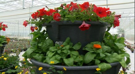 Do you have what it takes to work in the Arium at Whinmoor?