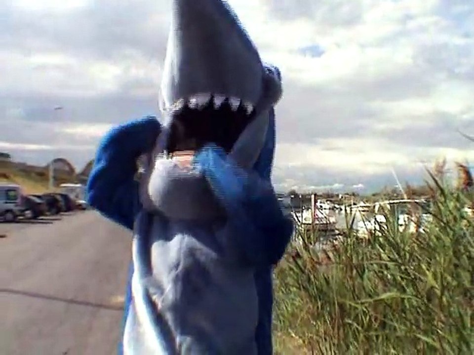 SHARK ATTACK (REMI GAILLARD)