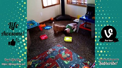 Try Not To Laugh Watching Funny Kids Fails Compilation Dec 2017 | Funny Kids Videos by Life Awesome