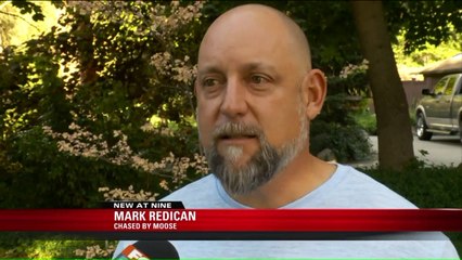 Angry Moose Chases Couple at Utah Golf Course