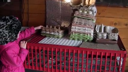 Hühner füttern - Eier sammeln - Gokart fahren ♥ Hannah Spezial