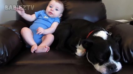 BABY POOPS - Dog RUNS away!  - LAUGH SUPER HARD!_HD