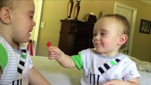 Cutest TWIN BABIES Fighting over Lolipop - FUNNY Baby videos!_HD