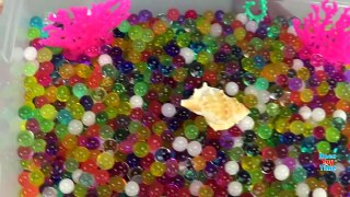 Learning Sea Animals Toy Sharks Whales Dolphin in Orbeez