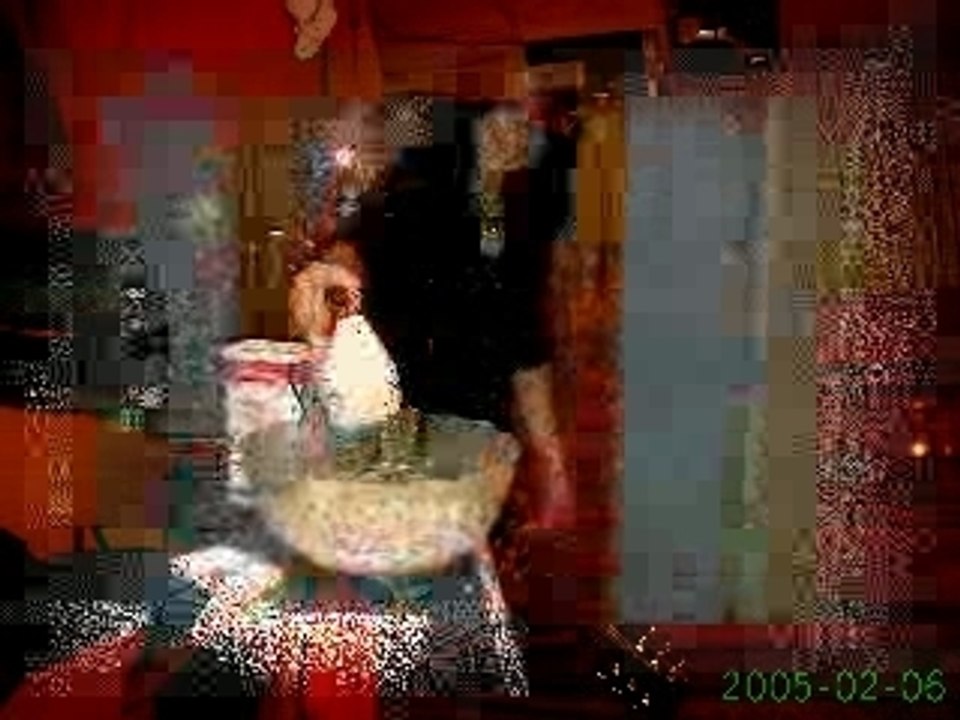 Coco et solene 2