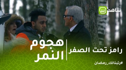 رامز تحت الصفر | رعب أوس أوس في مواجهة النمر