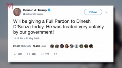 Trump Pardons Dinesh D'Souza, Considers Leniency for Martha Stewart and Rod Blagojevich