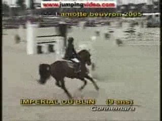 Poneys Célèbres (version longue)