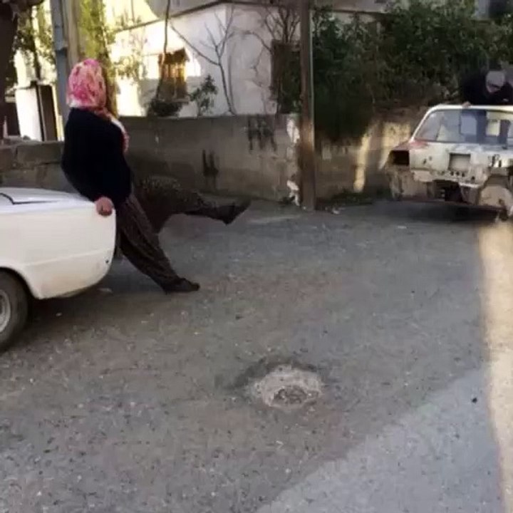 sefakindir (48)