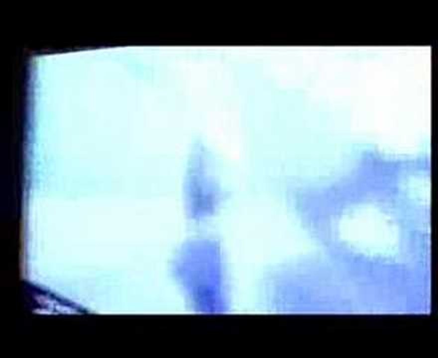Timbaland - Westwood