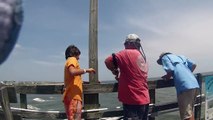 i fishing biggest fish Giant Stingray Fishing From Oak Island (Yaupon) Pier! Top 5 shockin