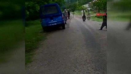 Kahramanmaraş Saklandığı Ağacın Kovuğuna Yıldırım Düşmesiyle Öldü