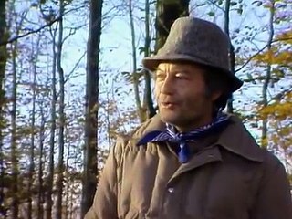 The Littlest Hobo with guest star Deforest Kelley. 2x15