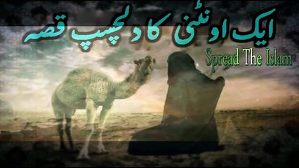 Aik Oontni Ka Dilchasp Qisa