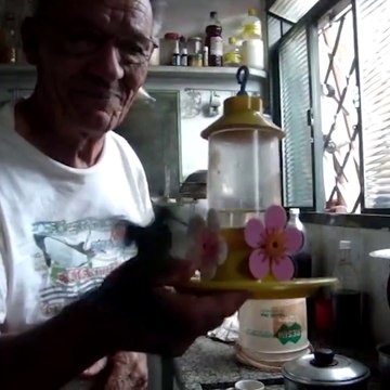 Il a dressé un colibri qui vient se nourrir dès qu'il l'appelle