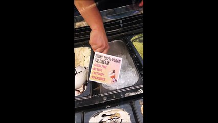 Quelqu'un veut un peu de glace Vegan ???