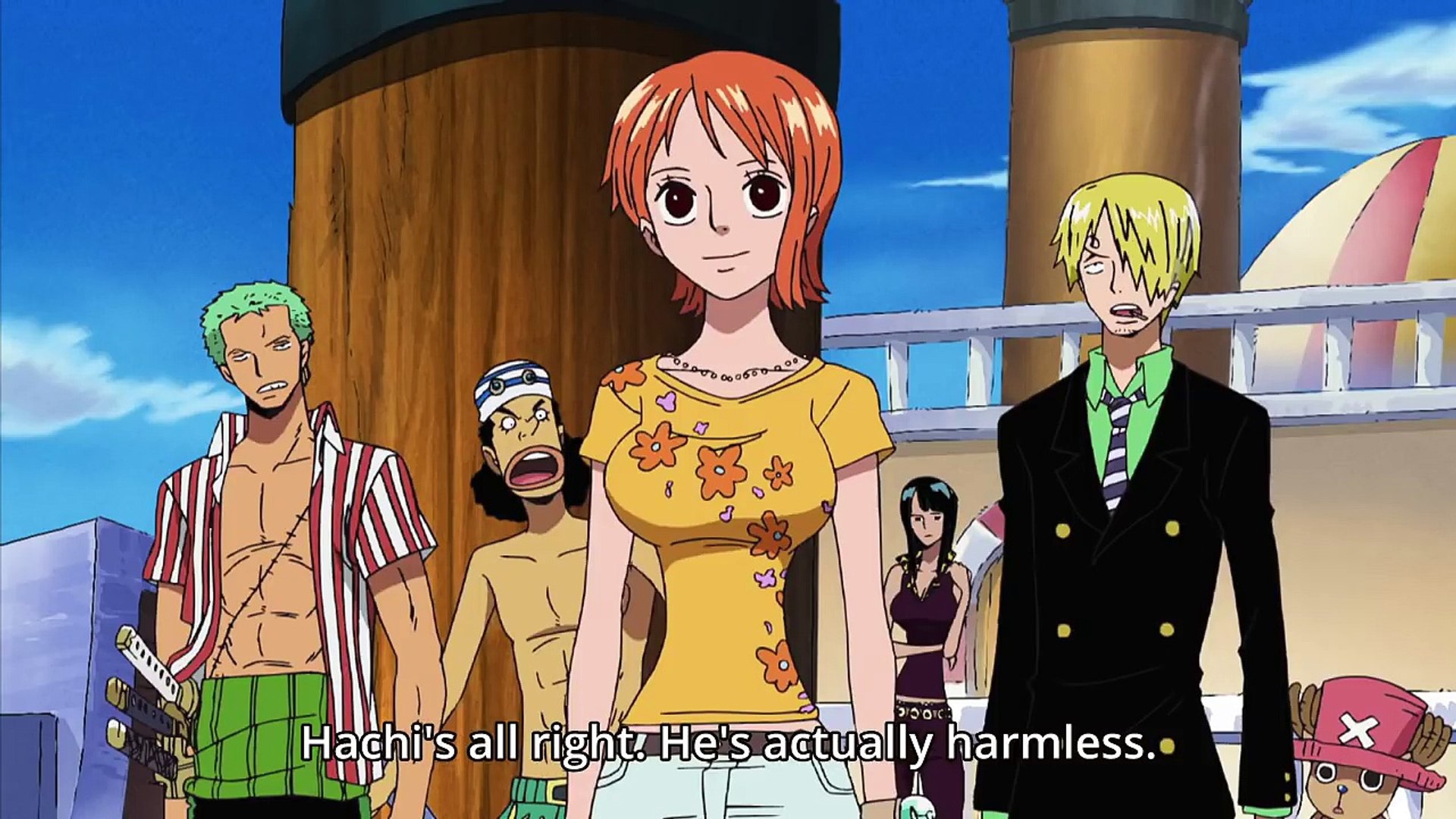 Luffy Saves Camie And Papagu Straw Hats Ready For Battle 191 Video Dailymotion