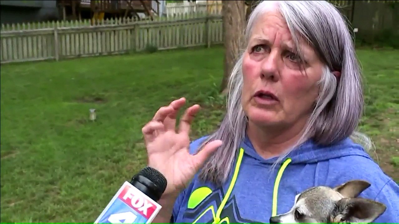 Woman Says Her Dogs Were Nearly Mauled to Death at Park