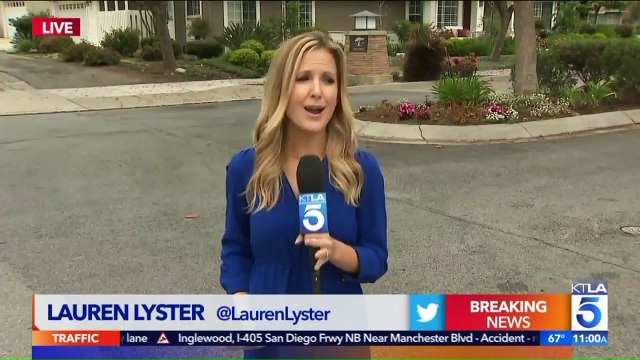 Bear Tranquilized After Spending Night Roaming Southern California Neighborhoods